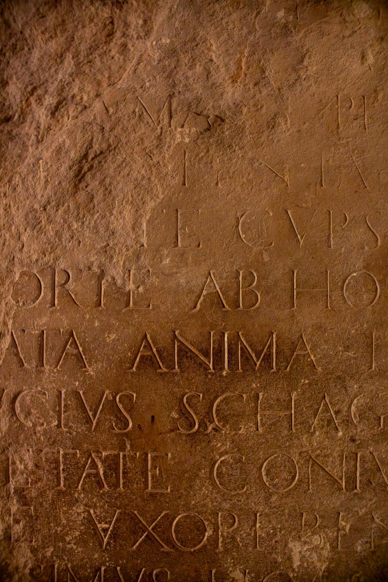 Hand-cut lettering carved into warm-toned stone
